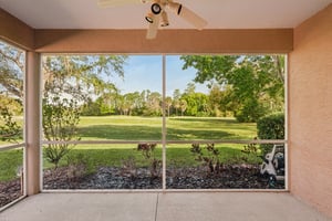 Birds Eye Ter-S1503-023.jpg