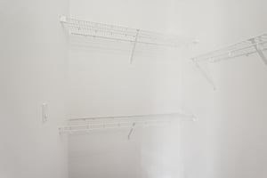 Birds Eye Ter-S1503-030.jpg