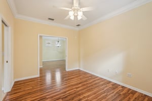 Birds Eye Ter-S1503-035.jpg