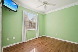 Birds Eye Ter-S1503-038.jpg