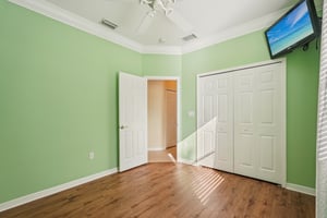 Birds Eye Ter-S1503-039.jpg