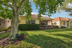 Birds Eye Ter-S1503-044.jpg