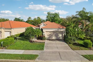 Birds Eye Ter-S1503-048.jpg