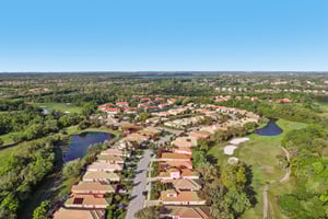 Birds Eye Ter-S1503-056.jpg