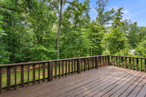 Rear Deck
