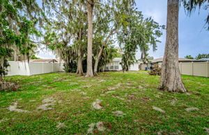 Backyard 1A