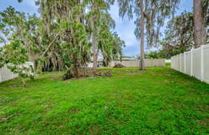 Backyard 1B