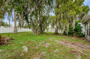 Backyard 1C