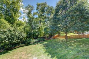 411 Back Yard