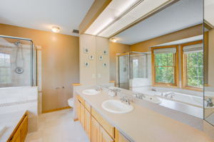 217 Master Bathroom