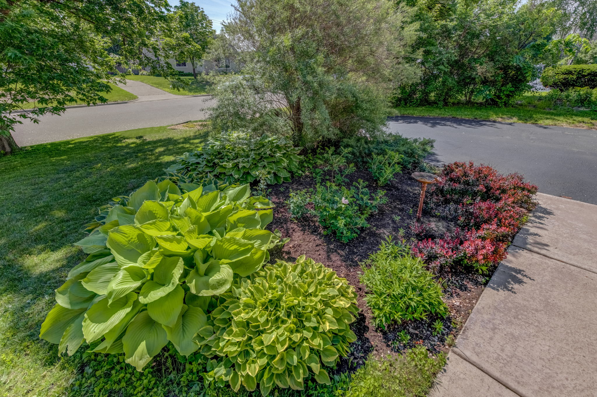 24 Garden