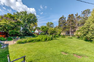 20 Backyard