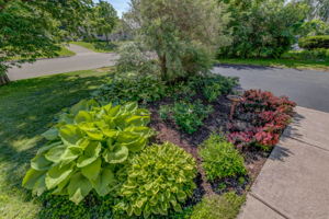24 Garden