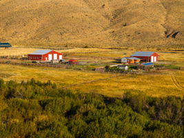 Photo 40