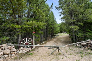  Photo 0