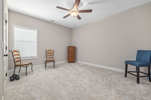 Image-33