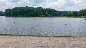 Image-66