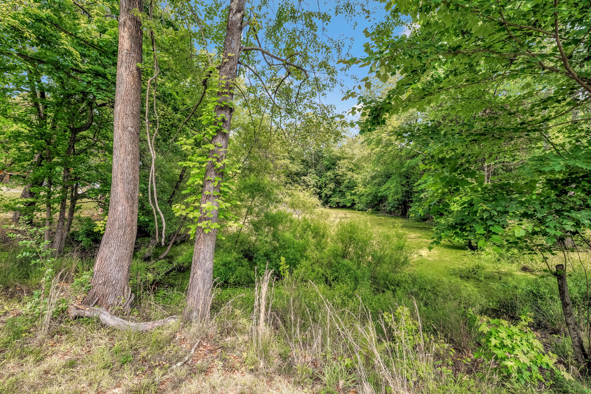 7549 Sunnyvale Dr-31