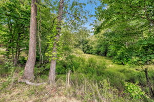 7549 Sunnyvale Dr-31