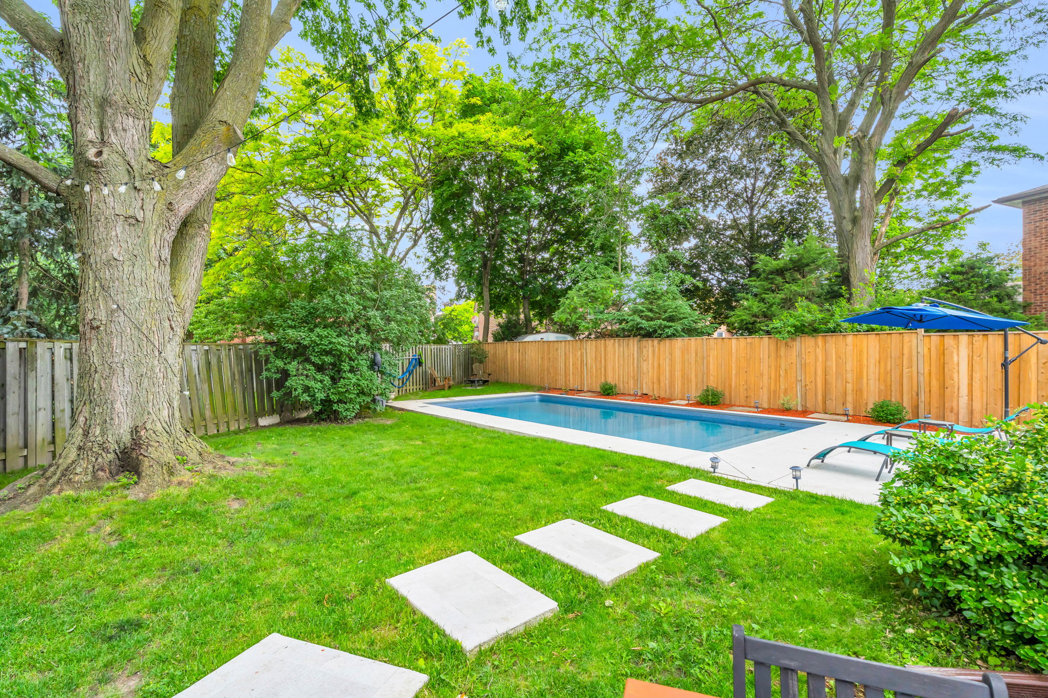 Backyard