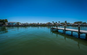 Dock1