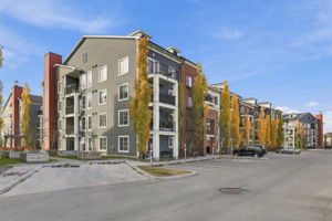  Photo 0