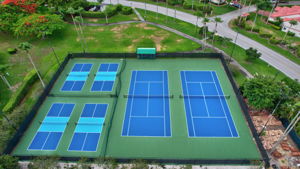  Photo 44