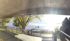 View From Deck