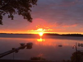View from Sun Room