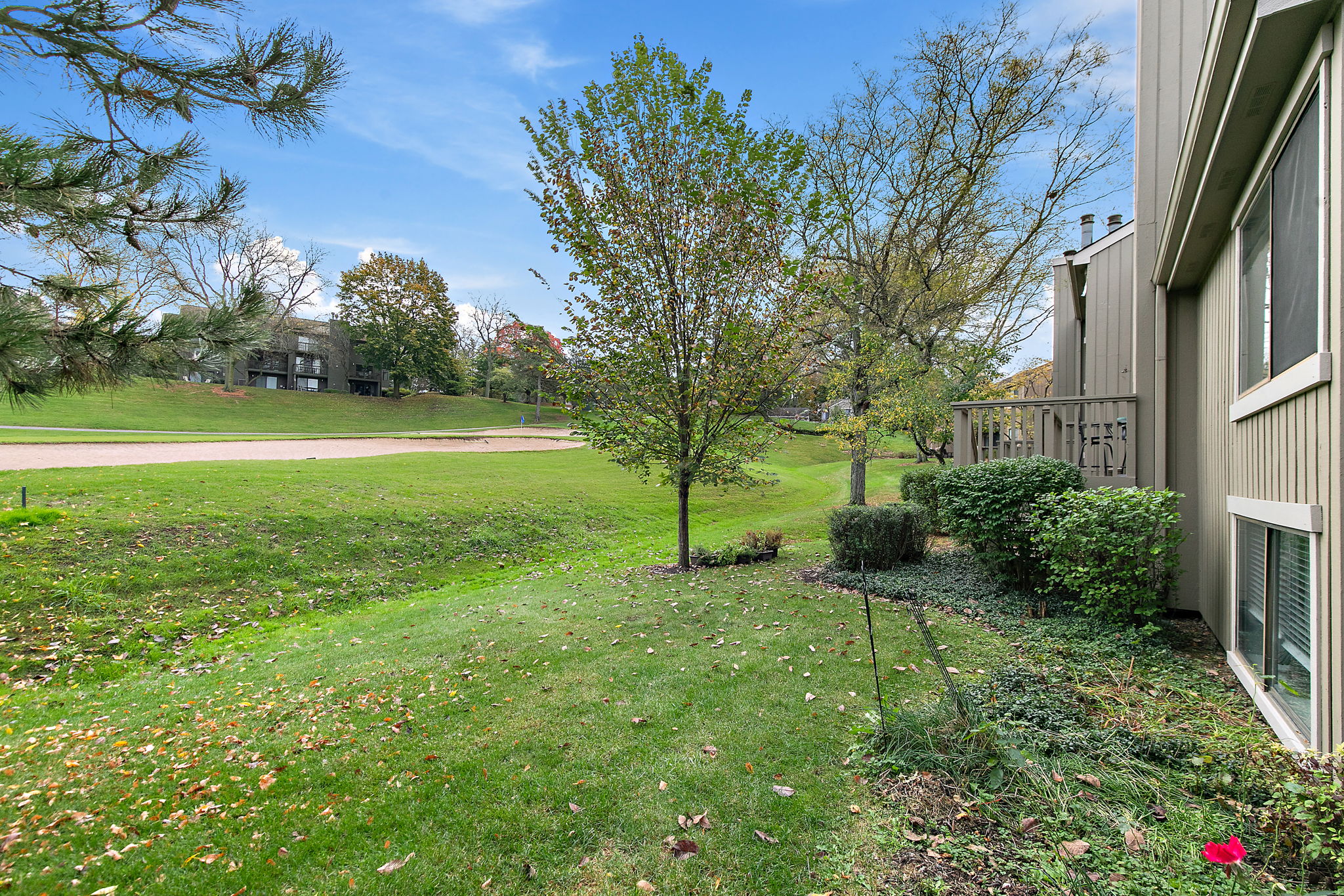  Photo 29