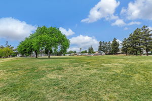 056_758 Pearlwood