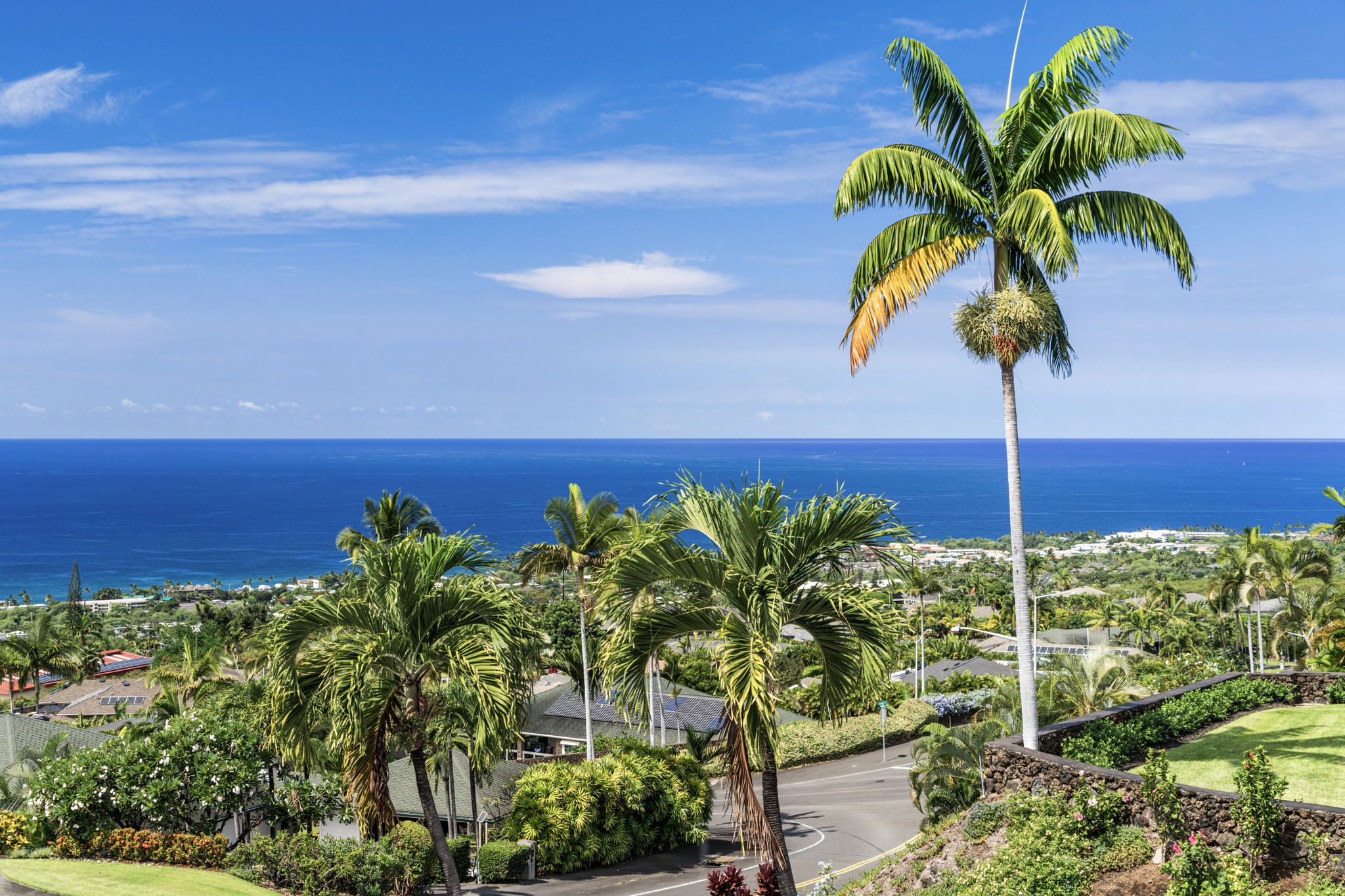 Ocean View 1
