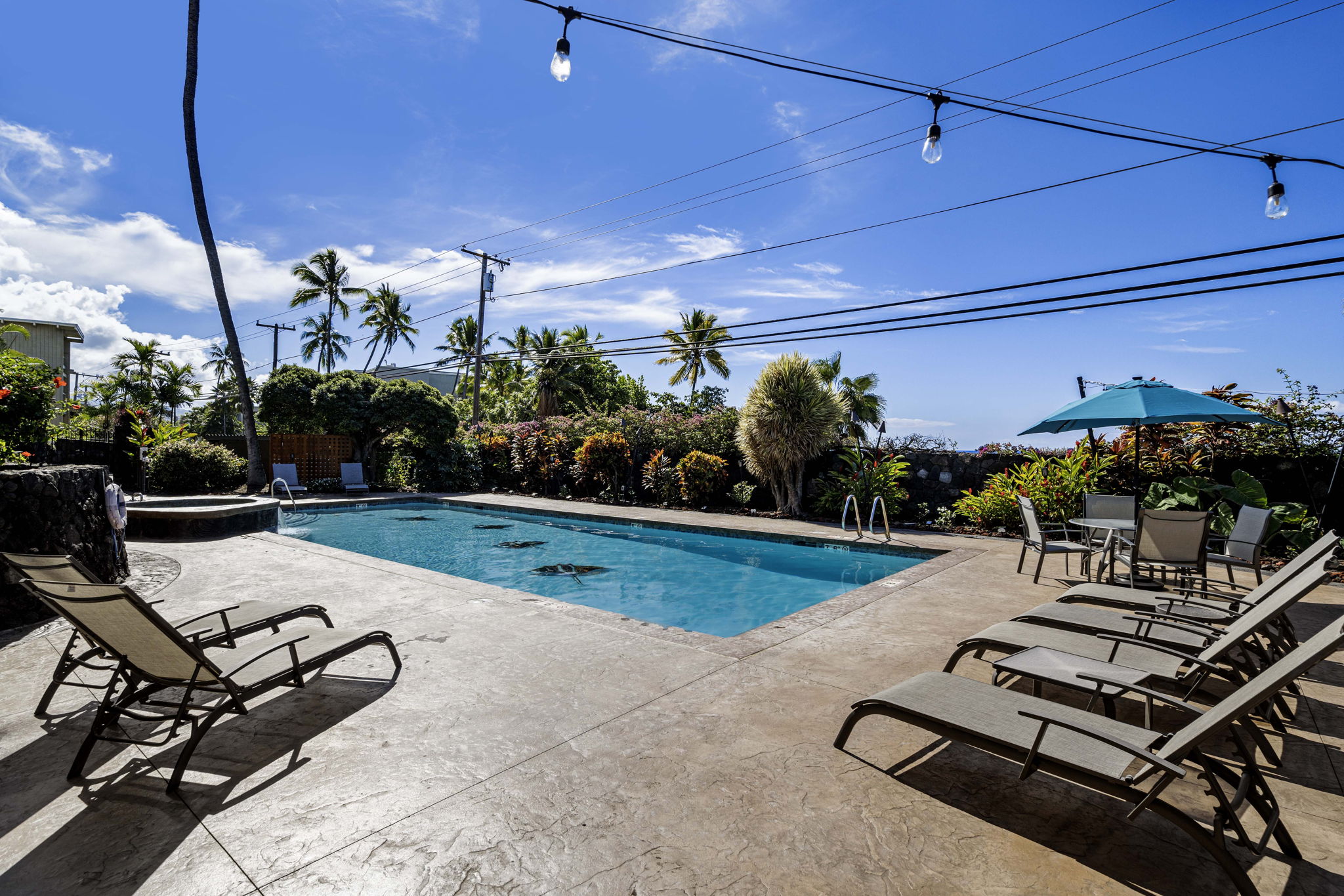 HBC Pool 2