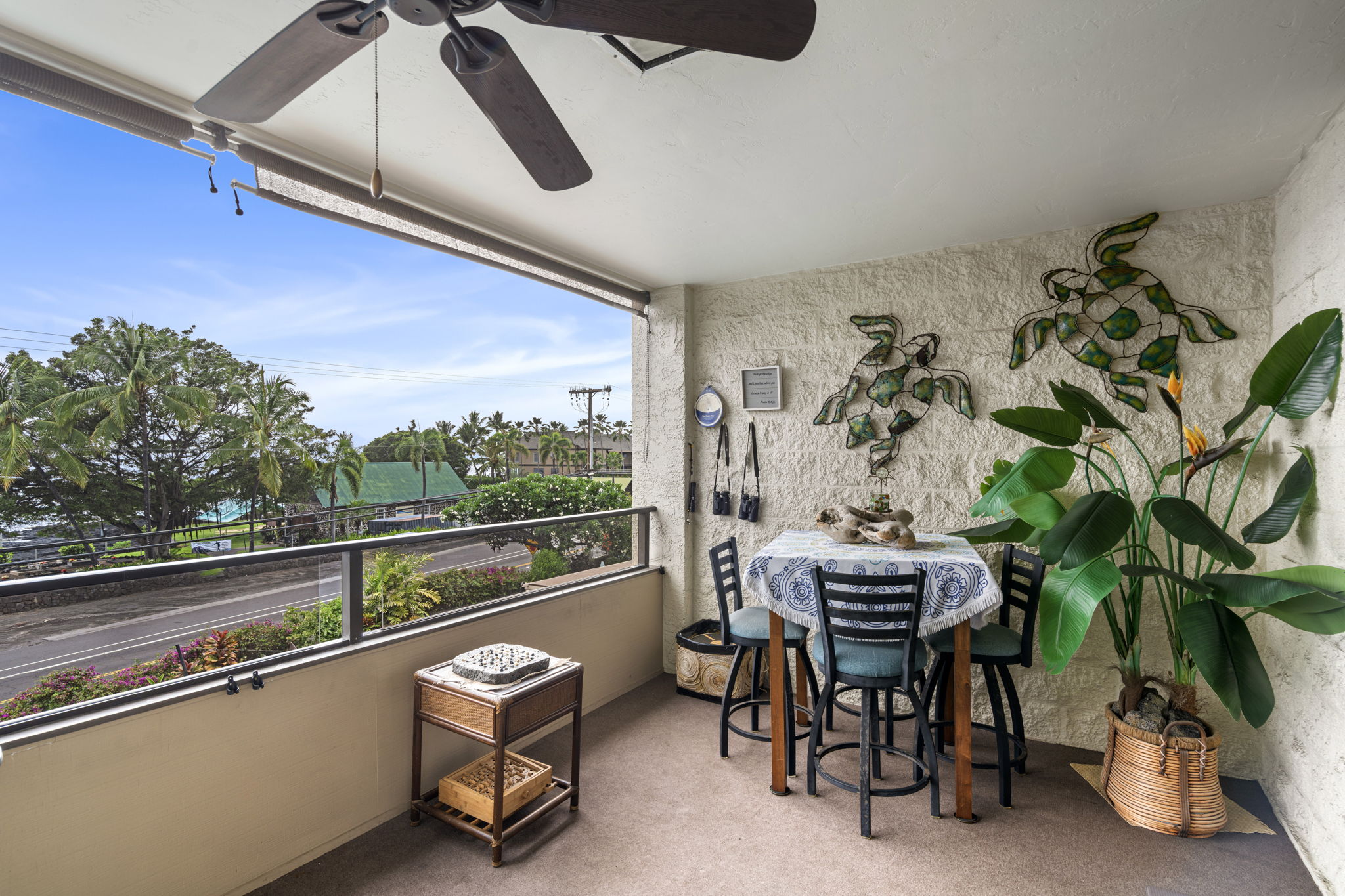 Lanai 4