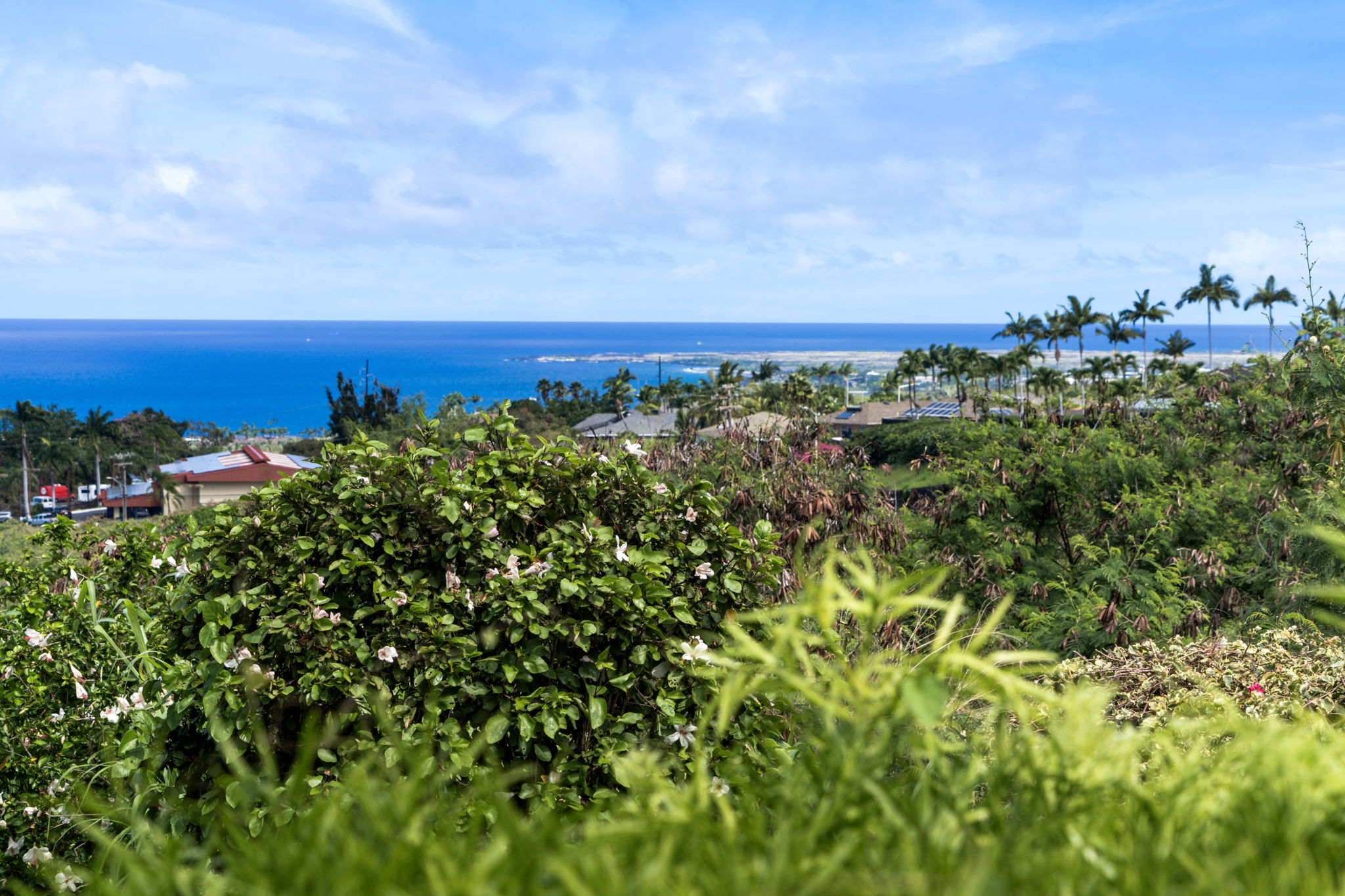 Ocean Views 1