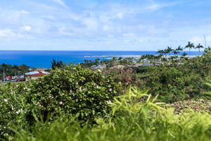 Ocean Views 1