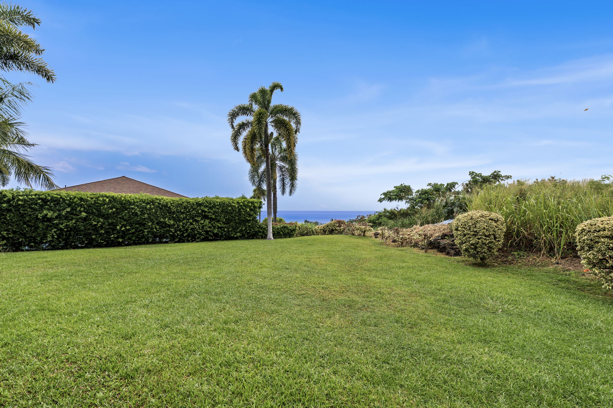 K Back Yard a