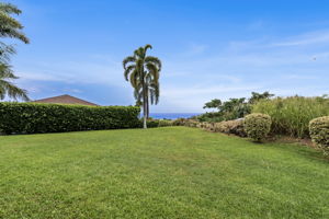 K Back Yard a