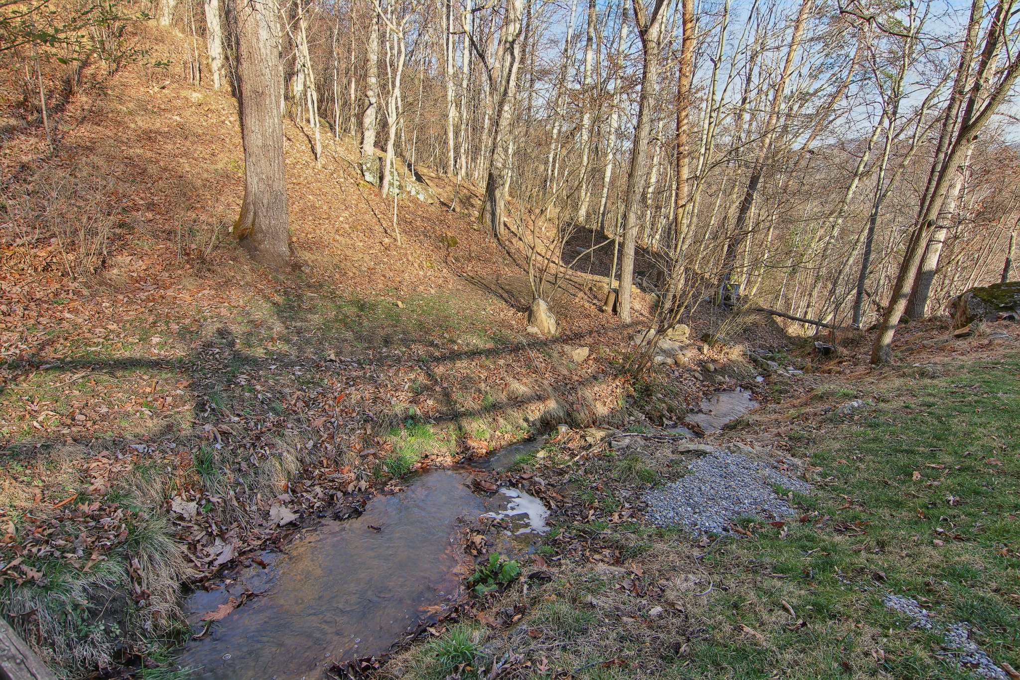 Eastern Sky Dr-057.jpg