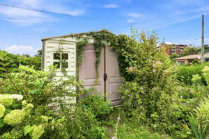  Photo 41