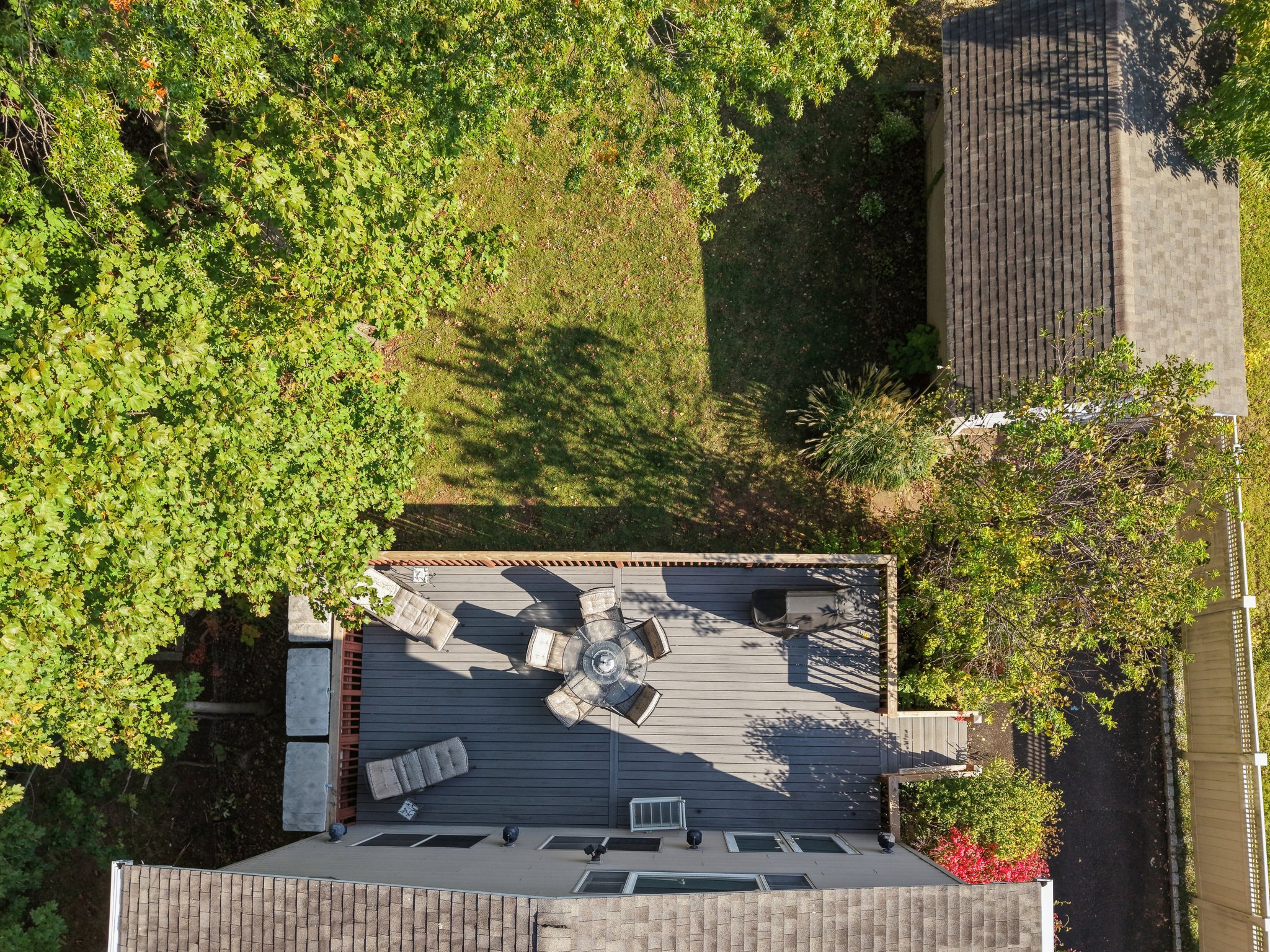 VMD009Drone.jpg