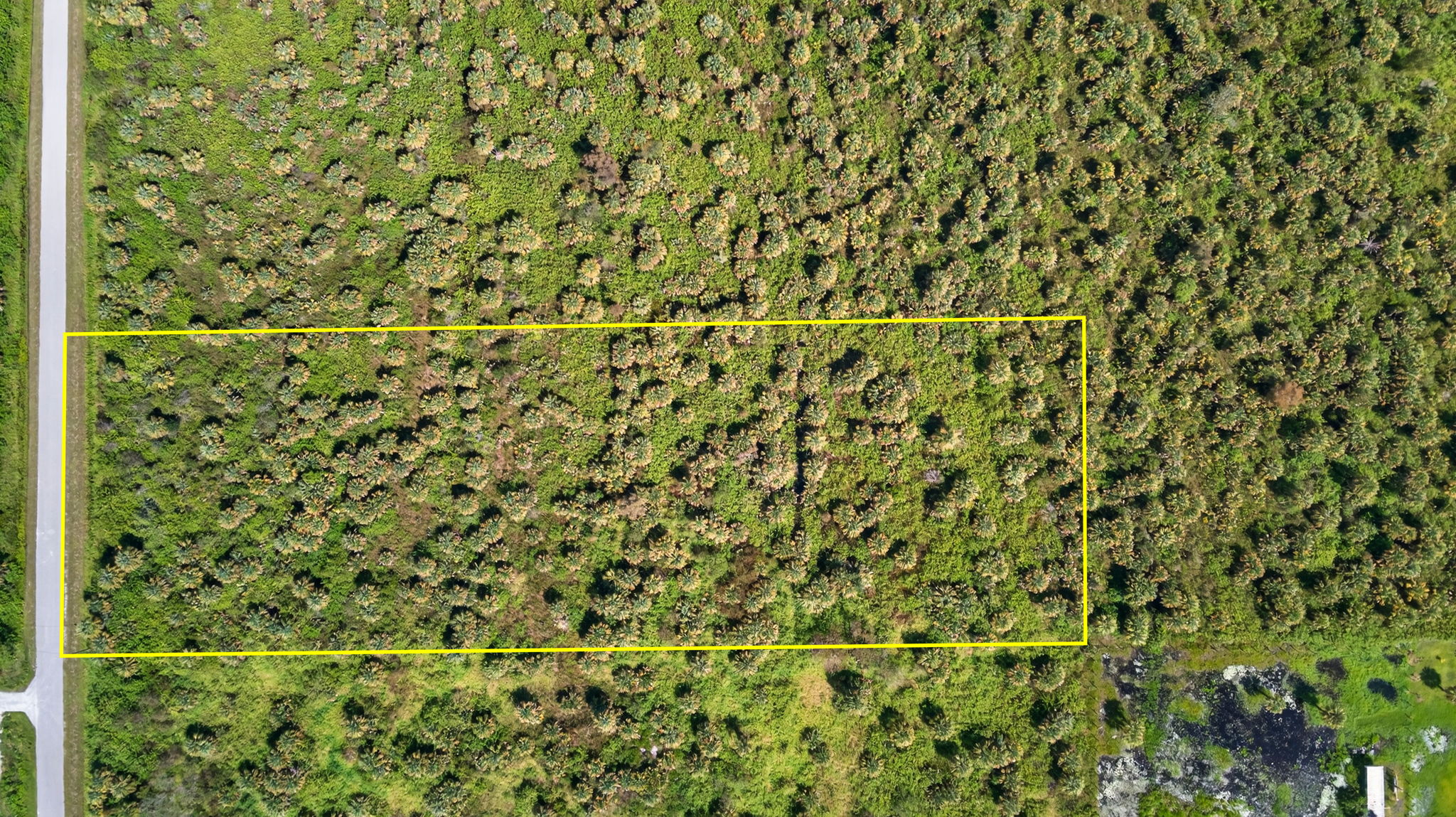 Aerial Overview - lot line