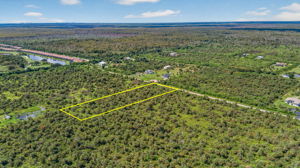 Aerial Rear Exterior 2 - lot line