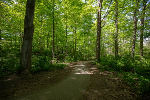  Photo 37
