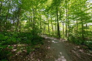 Photo 38