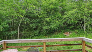  Photo 27