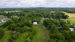  Photo 47
