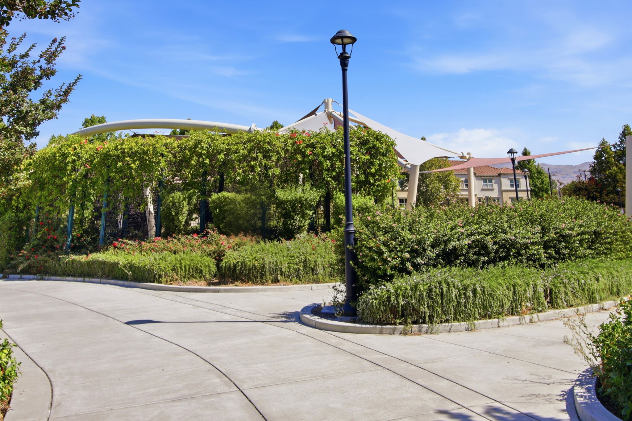 033_F8__760 Garden St 31