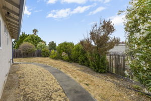  Photo 44