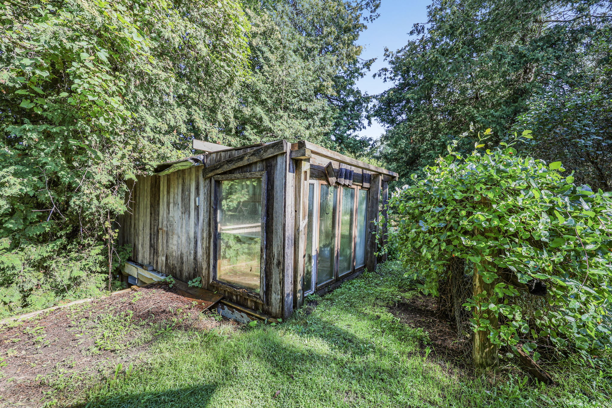  Photo 79